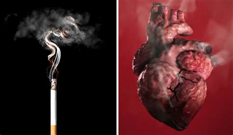 Merokok Penyakit Jantung
